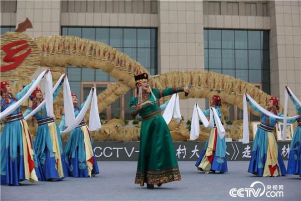 赤峰巴林左旗雞糞廠電話是多少-第1張圖片