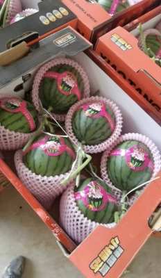 赤峰吊瓜代收電話號(hào)碼查詢-第1張圖片