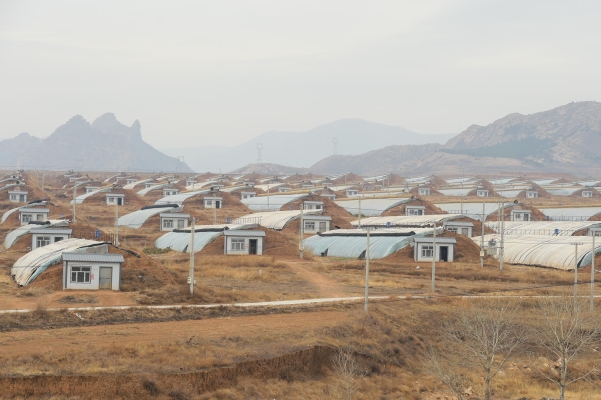 赤峰寧城社保查詢電話號(hào)碼是多少-第1張圖片