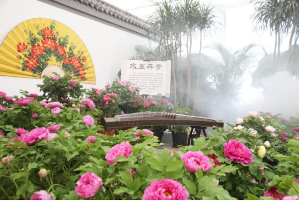 赤峰元寶山公交時間-第1張圖片