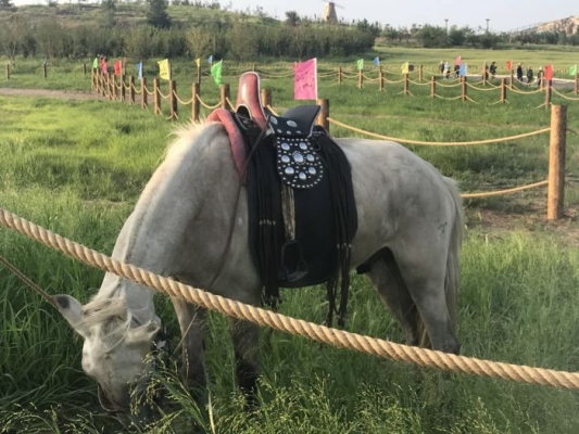 赤峰旗禹德堂電話號碼查詢-第1張圖片