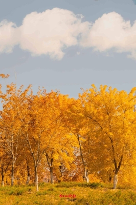 赤峰心情驛站電話號碼查詢地址-第1張圖片