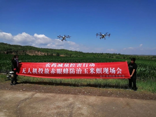 赤峰種子農(nóng)藥門市電話號碼是多少-第1張圖片