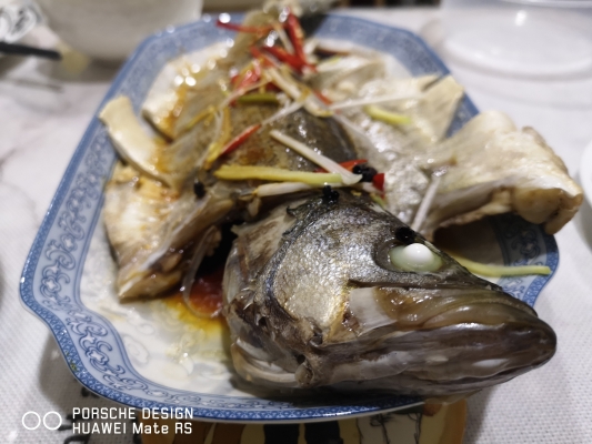 赤峰石斑魚飯店電話多少號-第1張圖片