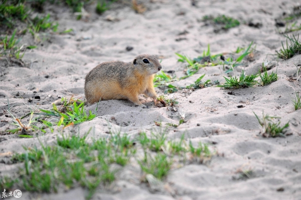 赤峰歐尚足浴店電話號碼多少-第1張圖片
