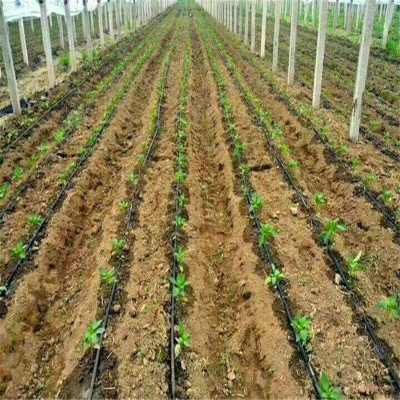 赤峰四寸施肥管廠(chǎng)家電話(huà)號(hào)碼-第1張圖片