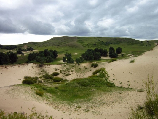 赤峰市元寶山社保局電話-第1張圖片
