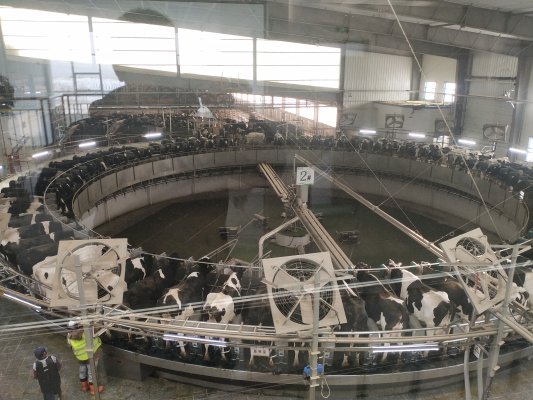 赤峰伊利地址-第1張圖片