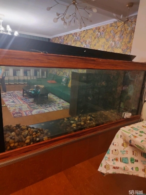 赤峰58同城二手魚缸-第1張圖片