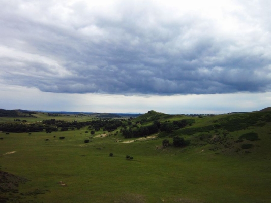 赤峰市元寶山清真餐廳電話-第1張圖片