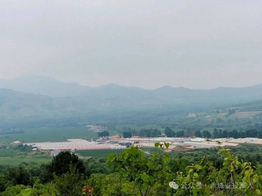 赤峰正天吊裝公司電話號碼查詢-第1張圖片