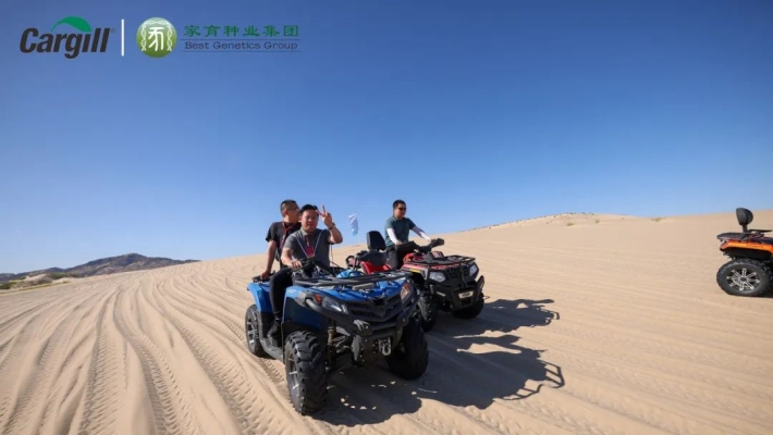 赤峰篝火酒吧電話號碼查詢-第1張圖片