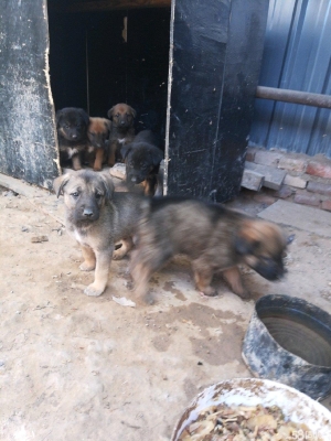 赤峰大庫(kù)衛(wèi)浴電話號(hào)碼多少號(hào)-第1張圖片