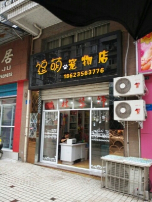 赤峰寵物店電話(huà)號(hào)碼多少號(hào)-第1張圖片