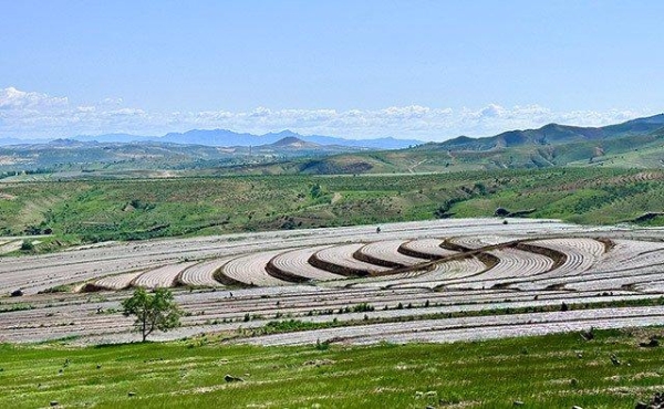 赤峰林西縣安踏店電話號(hào)碼-第1張圖片