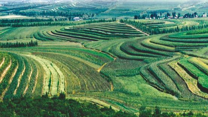 赤峰市敖漢旗游泳館電話號碼-第1張圖片