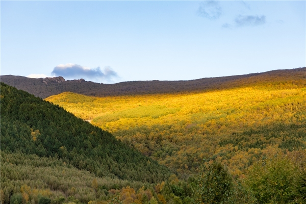 赤峰美林鎮(zhèn)礦泉水廠電話號碼-第1張圖片