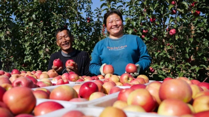 赤峰康養(yǎng)基地電話多少號-第1張圖片