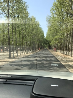 赤峰收馬蜂窩電話地址查詢-第1張圖片