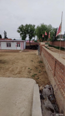 赤峰橋北批發(fā)觀賞魚電話號(hào)碼-第1張圖片