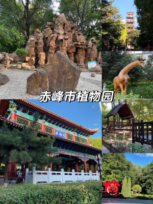 赤峰紅山區(qū)甘路社區(qū)電話號(hào)碼-第1張圖片