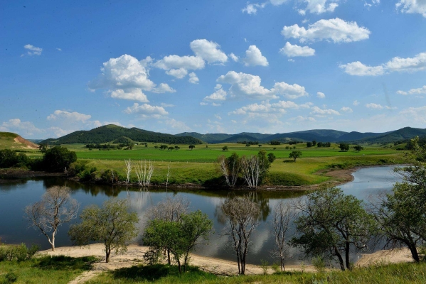 赤峰大營子拼車電話號碼查詢-第1張圖片