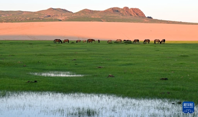 赤峰市大板鎮(zhèn)大飯店電話號(hào)碼-第1張圖片