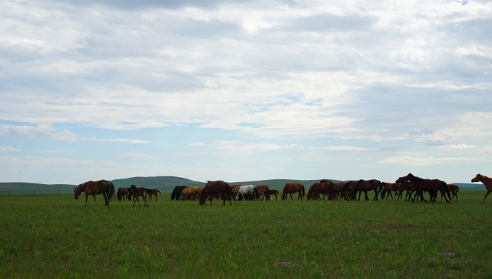 赤峰至興安拼車電話多少號-第1張圖片