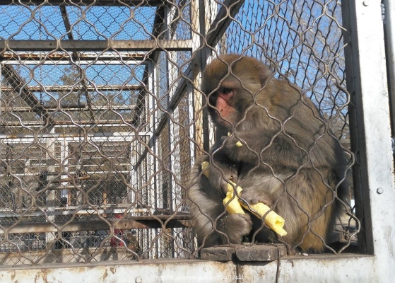 赤峰萬達(dá)動(dòng)物園電話號(hào)碼-第1張圖片