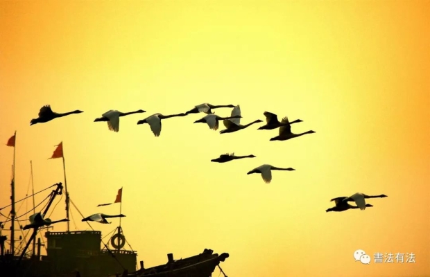 赤峰市收購蘆葦?shù)牡胤诫娫捥柎a-第1張圖片