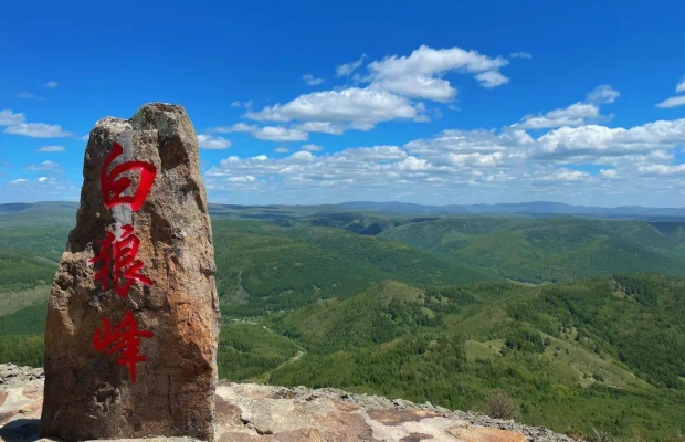 赤峰市森林酒店電話多少號-第1張圖片