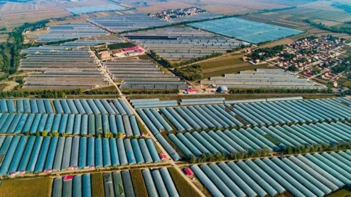 赤峰市養(yǎng)殖牛羊基地電話號(hào)碼-第1張圖片