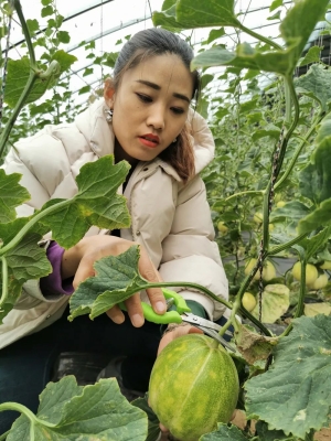 赤峰市區(qū)本地人菜館電話號碼-第1張圖片