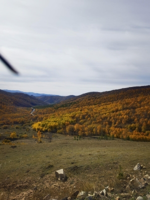 赤峰草原攝影網(wǎng)官網(wǎng)電話號(hào)碼-第1張圖片