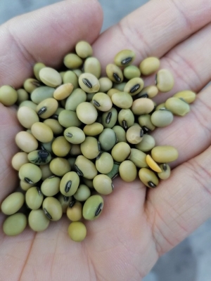 赤峰七號自拍館地址電話號碼-第1張圖片