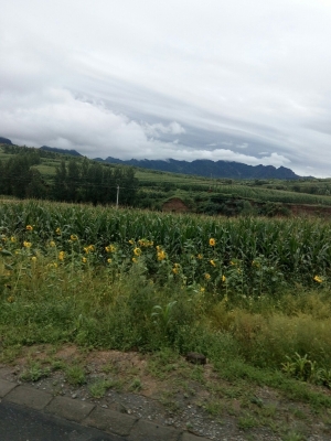 赤峰佳泰汽貿(mào)電話號碼多少號-第1張圖片