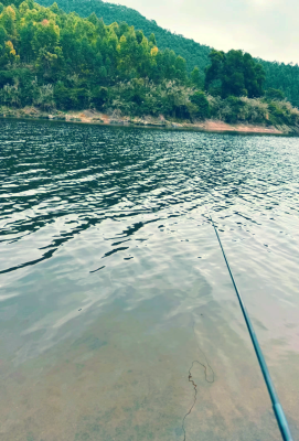 赤峰市釣魚(yú)直播基地電話號(hào)碼-第1張圖片