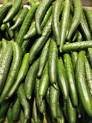 赤峰國(guó)營(yíng)旱冰場(chǎng)地址電話號(hào)碼-第1張圖片