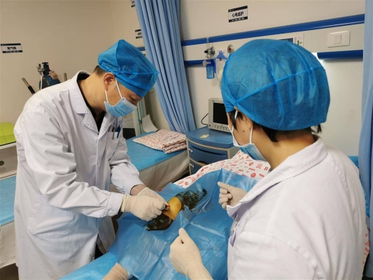 赤峰林東血漿站電話號(hào)碼是多少-第1張圖片