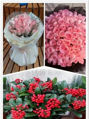 赤峰花卉市場(chǎng)游樂(lè)場(chǎng)電話號(hào)碼-第1張圖片