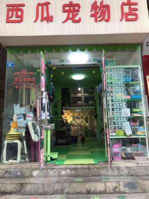 赤峰市寵物店兔子電話號碼-第1張圖片