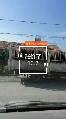 赤峰市直播音頻銷售電話號碼-第1張圖片