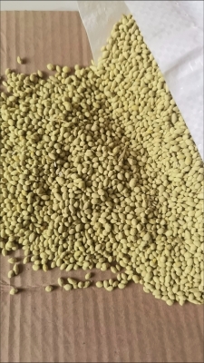 赤峰草坪批發(fā)市場(chǎng)電話號(hào)碼-第1張圖片