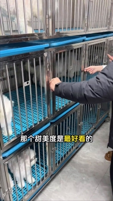 赤峰比熊基地地址電話是多少號-第1張圖片