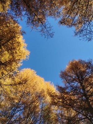 赤峰駐車營地電話號碼查詢-第1張圖片