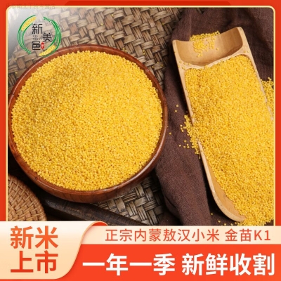 赤峰市打黃掃非電話號(hào)碼-第1張圖片