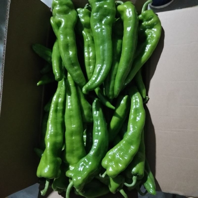 赤峰蔬菜包裝材料廠電話號(hào)碼-第1張圖片