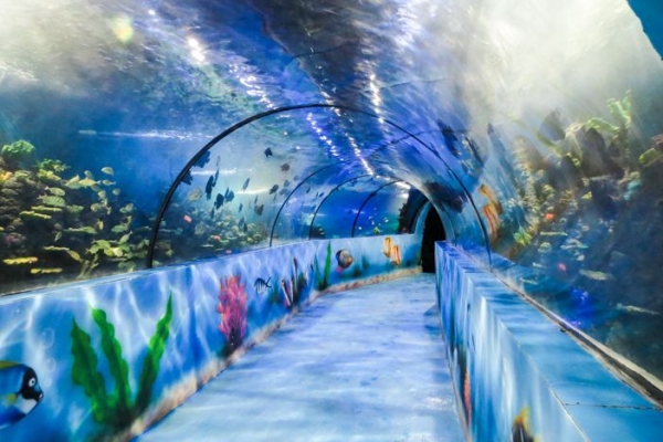 赤峰摩爾海洋館電話號碼多少-第1張圖片