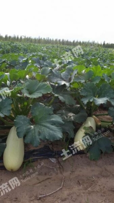 赤峰市敖漢旗住建局電話號碼-第1張圖片