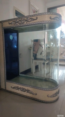 赤峰市洗魚缸電話號(hào)碼查詢-第1張圖片